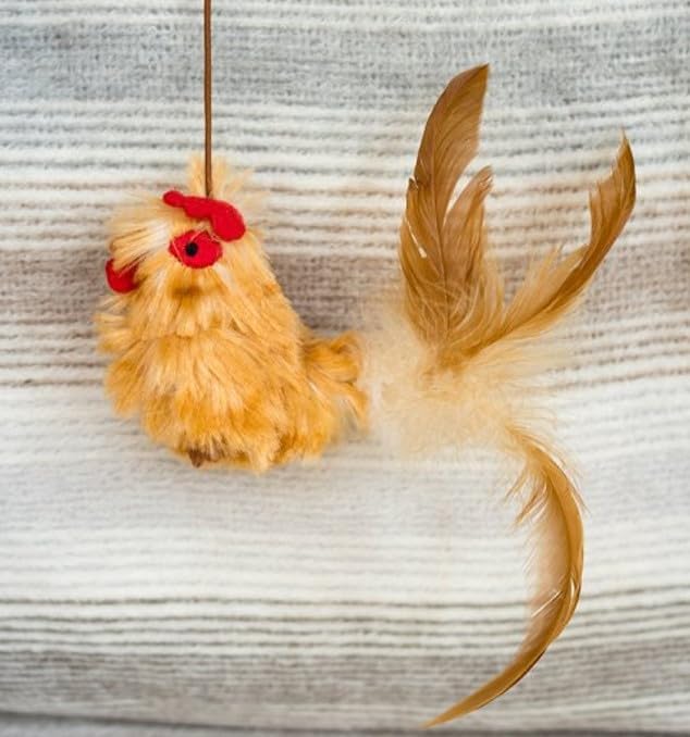 Teaser Hen