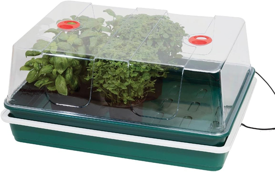 Professional Variable Temperature Control Electric Propagator