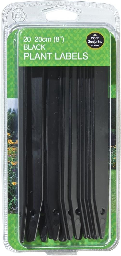 20cm (8