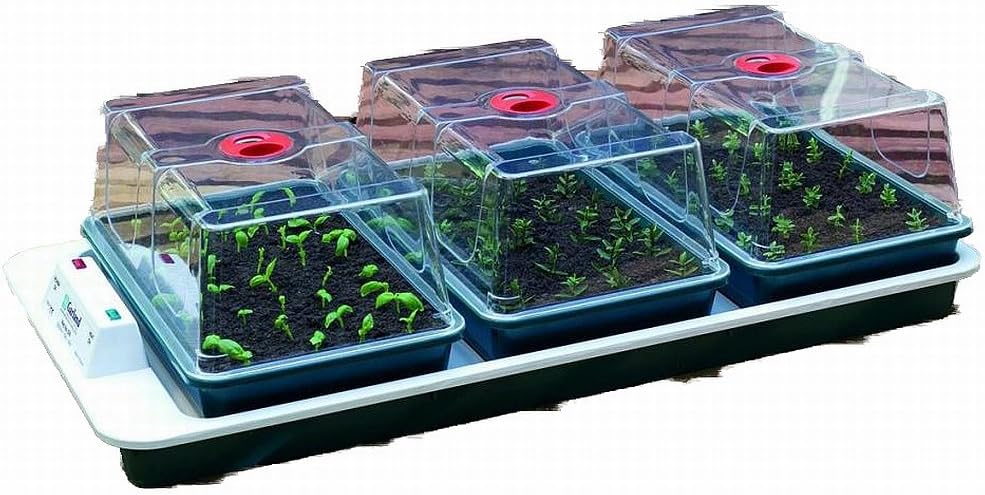 Big 3 Automatic Temperature Control Electric Propagator