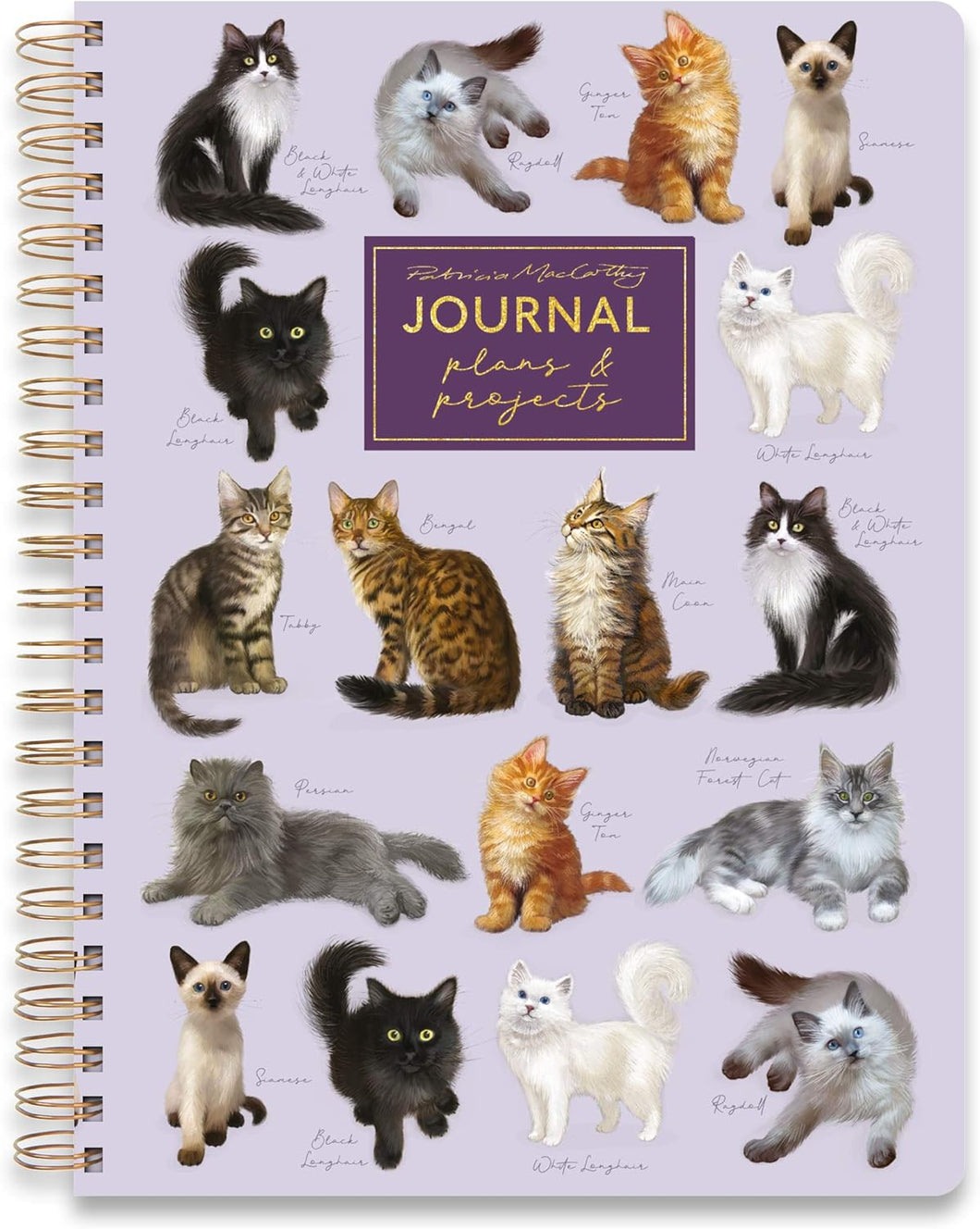 Cats Wiro Notebook With Dividers A5 (RFS13304)