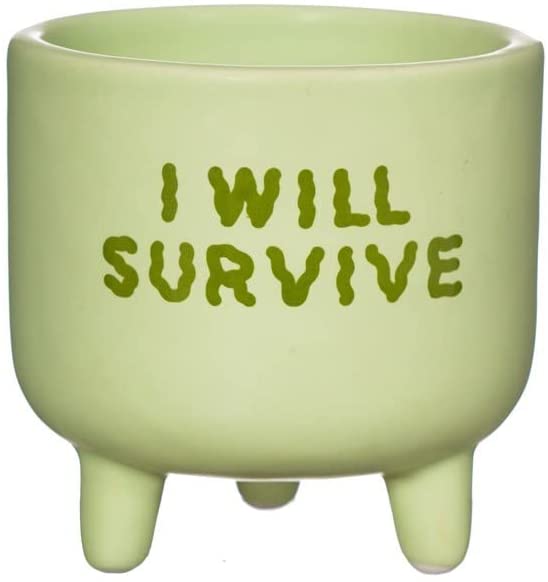 I Will Survive Mini Planter