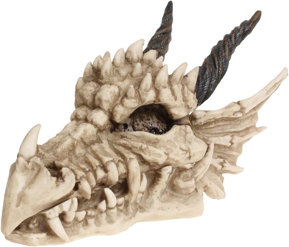 Dragon Skull Box 20cm