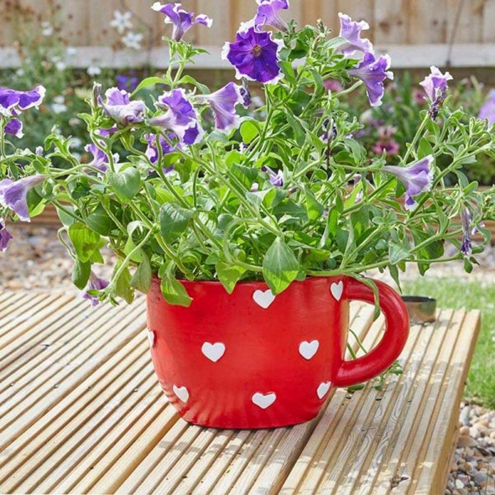 Smart Garden (5071019) Teacup Heart Planter