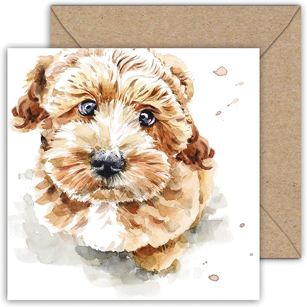 Puppy Dog Eyes Card Collection - Cockapoo Coco